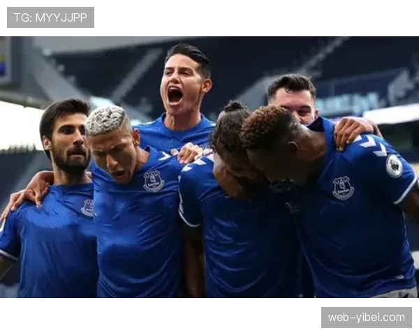 埃弗顿未来计划包括升级新球场和夏窗引进4至5名即战力球员